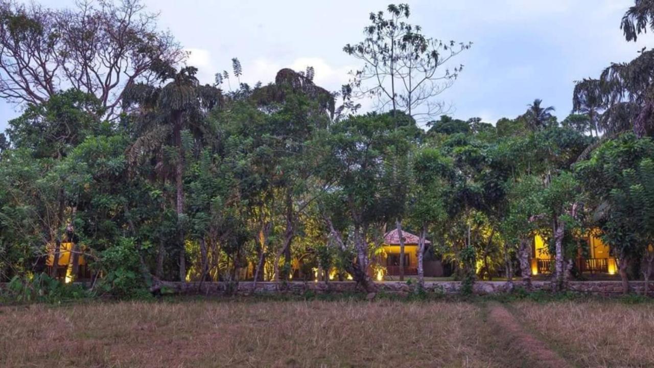 Birds Paradise Cabanas Unawatuna Exterior photo