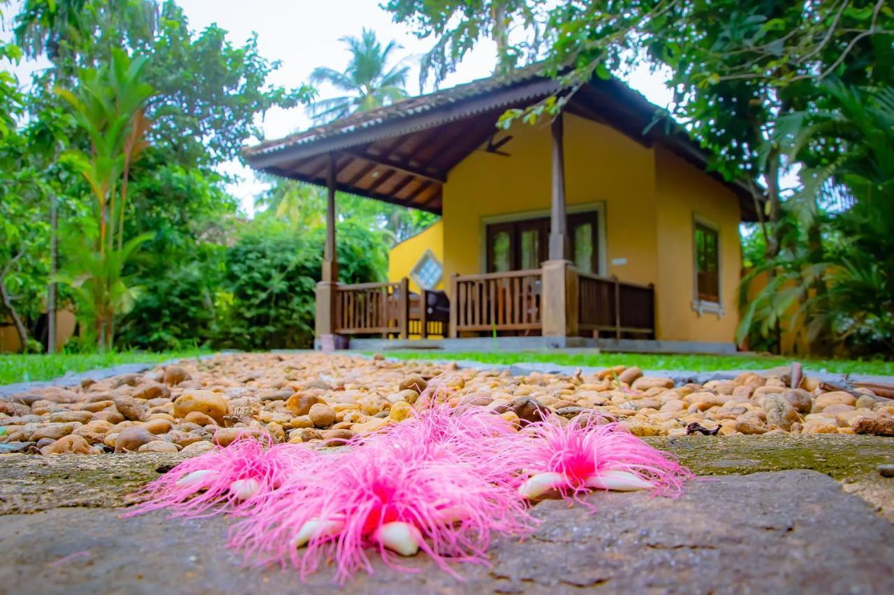 Birds Paradise Cabanas Unawatuna Exterior photo