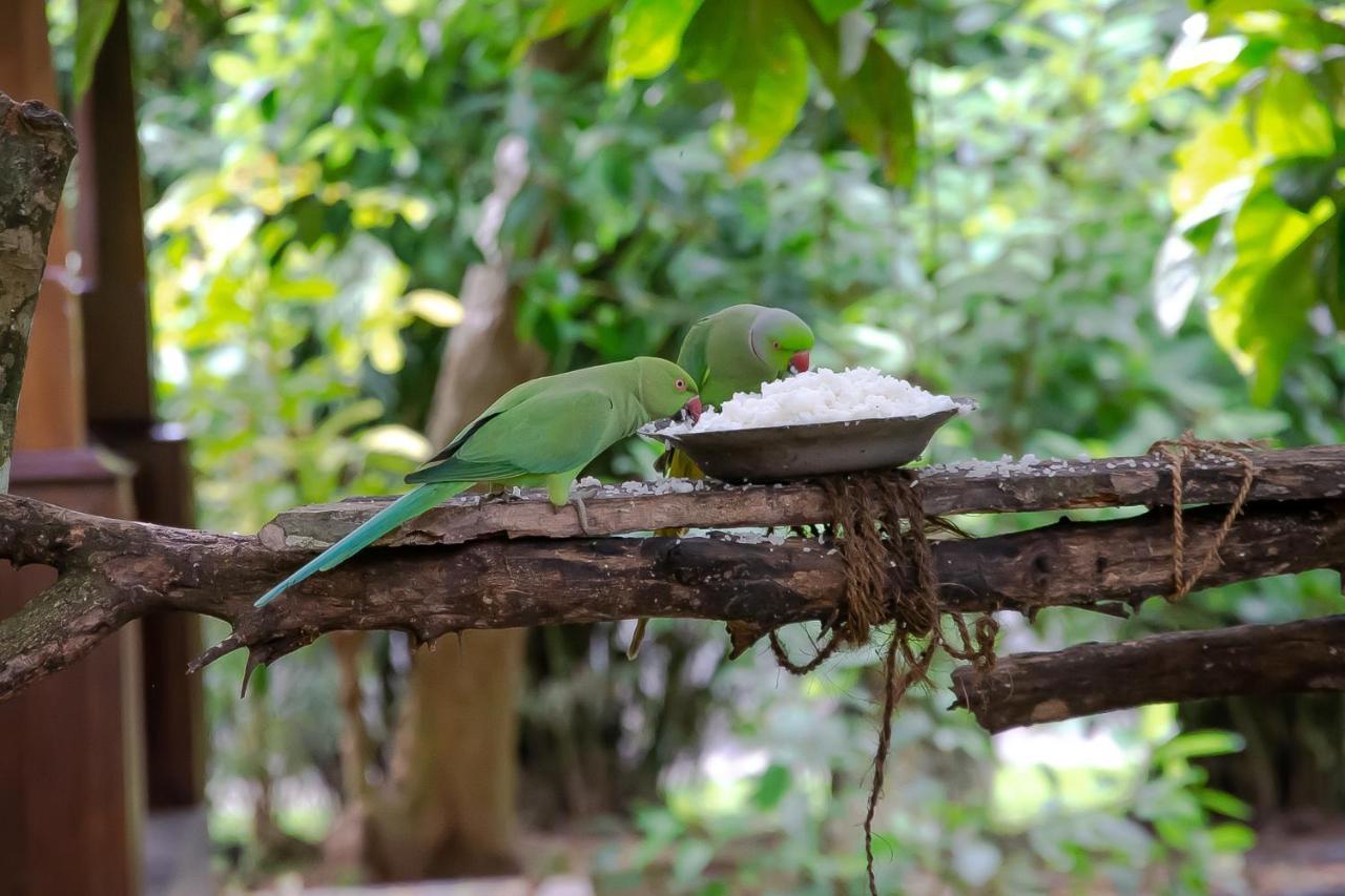 Birds Paradise Cabanas Unawatuna Exterior photo