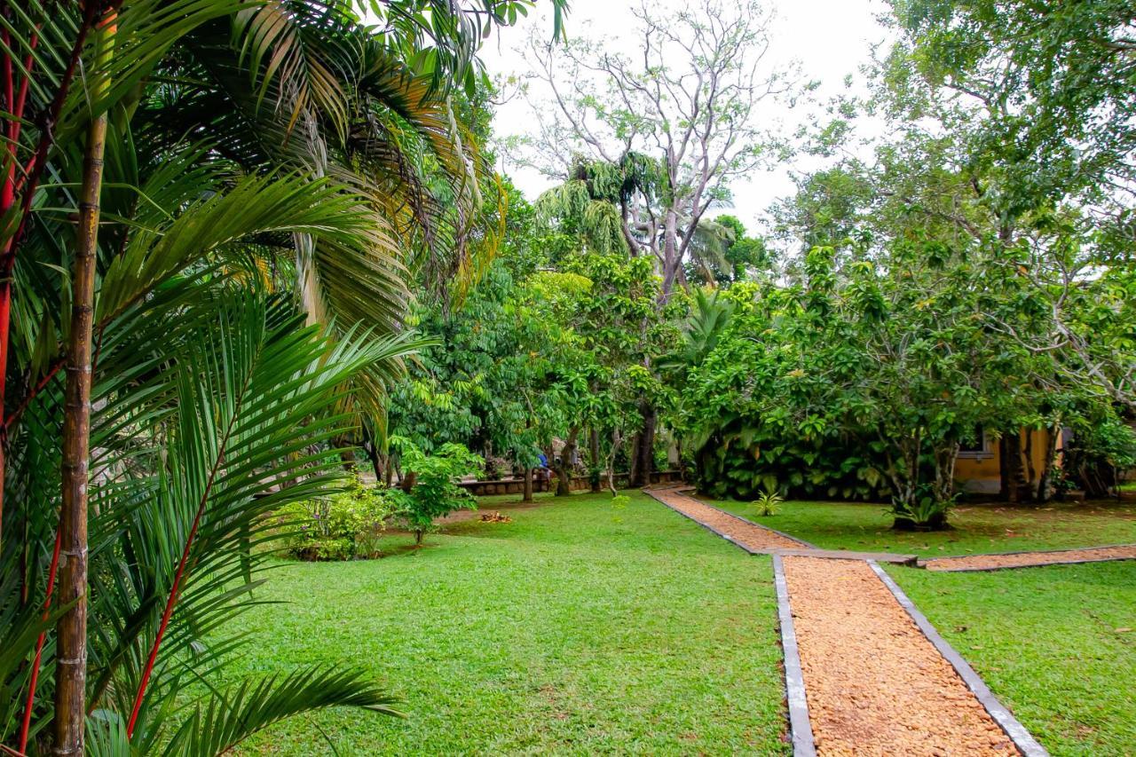 Birds Paradise Cabanas Unawatuna Exterior photo